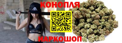 jwh Можга