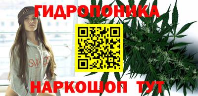 прущие грибы Моздок