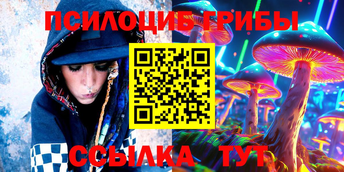 Псилоцибиновые грибы MAGIC MUSHROOMS  где купить наркотик  Галлюциногенные грибы MAGIC MUSHROOMS  Домодедово  Вход с VPN 